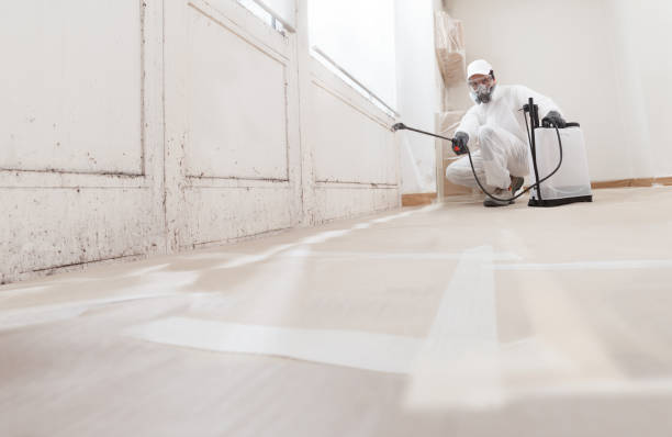 24/7 Emergency Black Mold Removal experts in Ashburn, VA