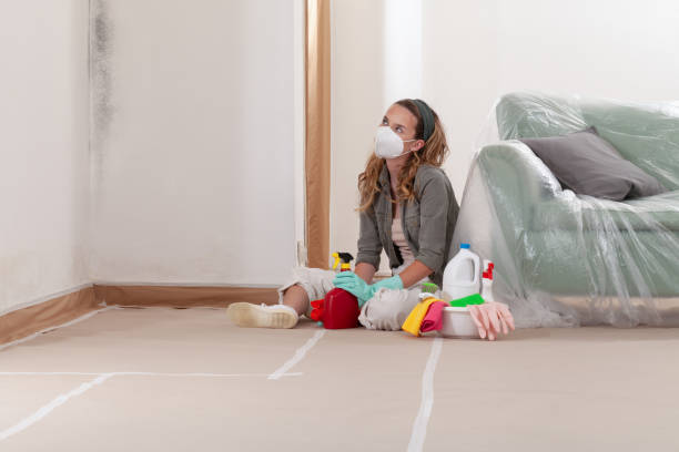 Reliable Black Mold Removal contractor in Ashburn, VA by WQB Mold Removal